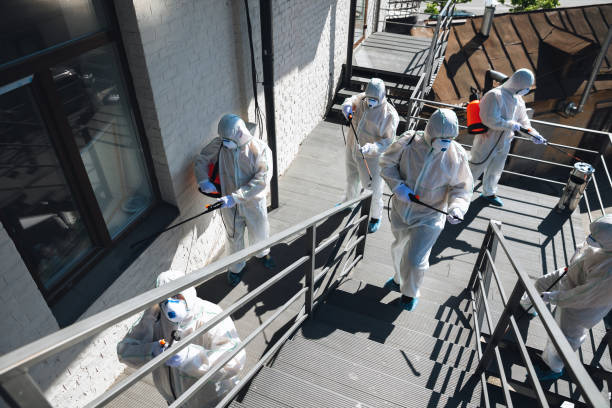 Mold Removal for HVAC Installations in Avila Beach, CA